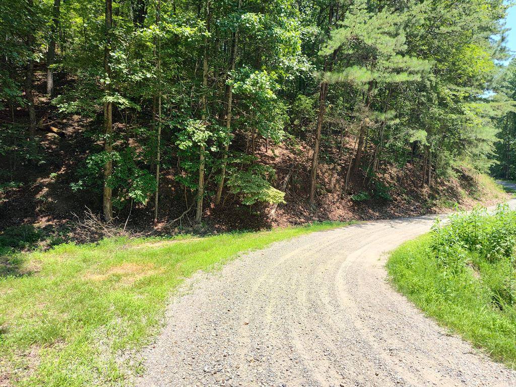 Ranger, GA 30734,LOT 560 Neptune Cir