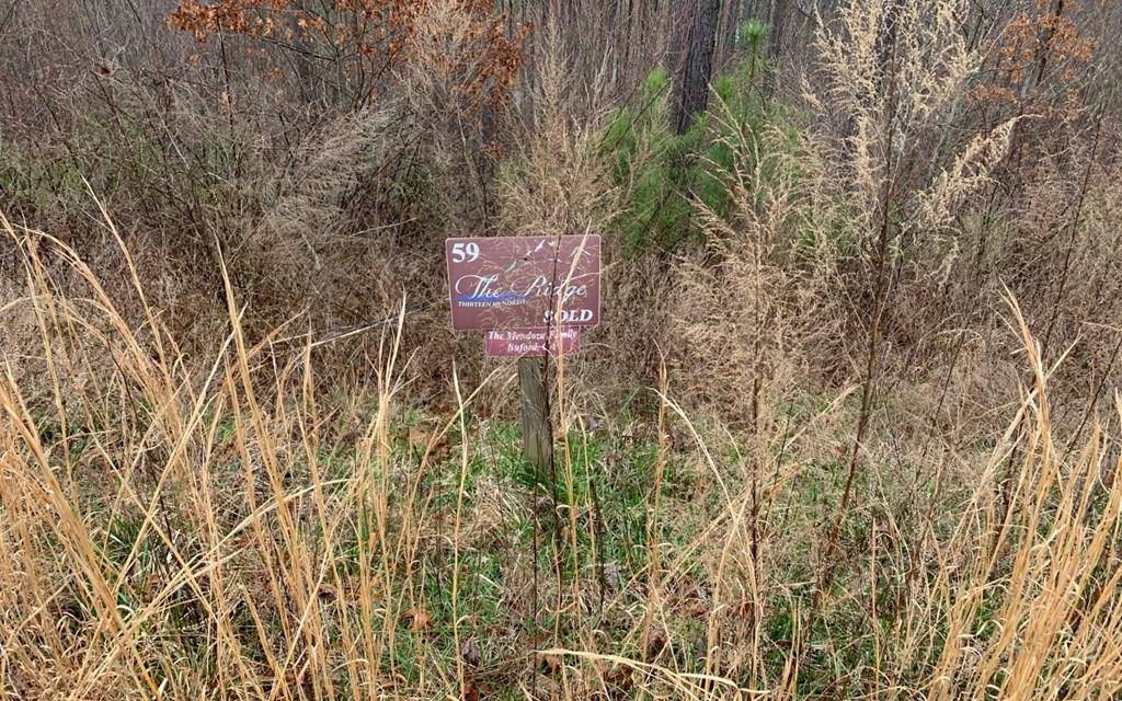 Blairsville, GA 30512,Lot 59 Ridge Peak View