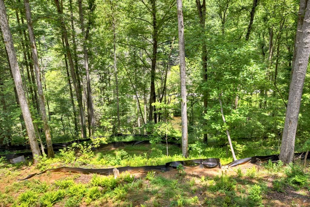 Suches, GA 30572,1551 Parker Road