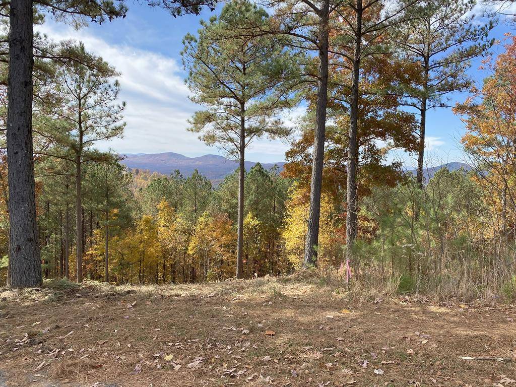 Blairsville, GA 30512,Lot 14 Mile High Lane