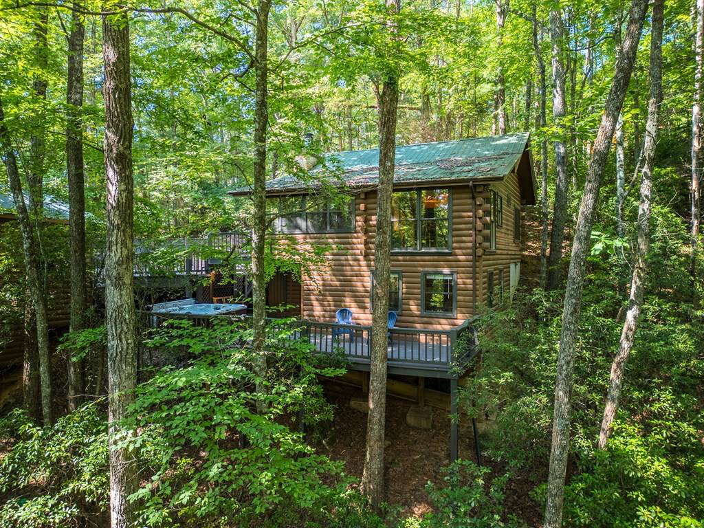 Cherry Log, GA 30522,556 Cherry Lake Drive