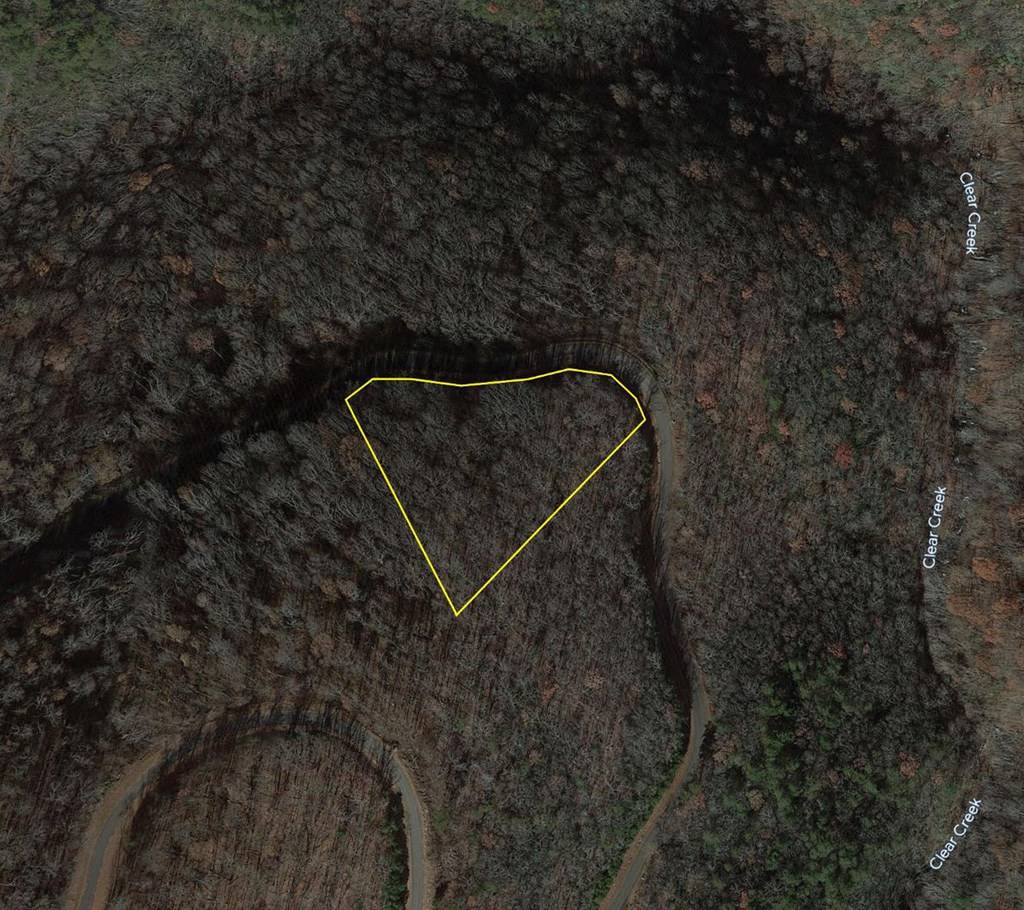 Ellijay, GA 30536,249 Andes Ridge