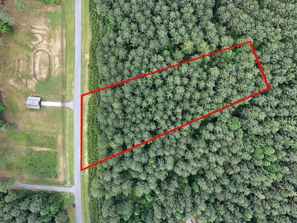 Blairsville, GA 30512,Lot 42 Thirteen Hundred