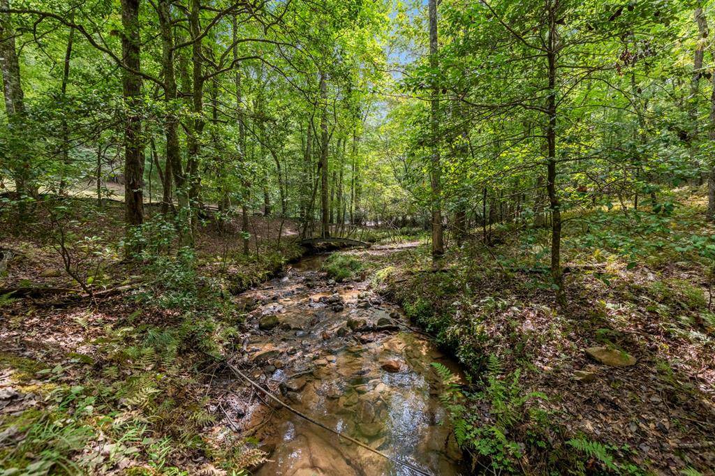 Blue Ridge, GA 30513,421 Weeks Creek Road