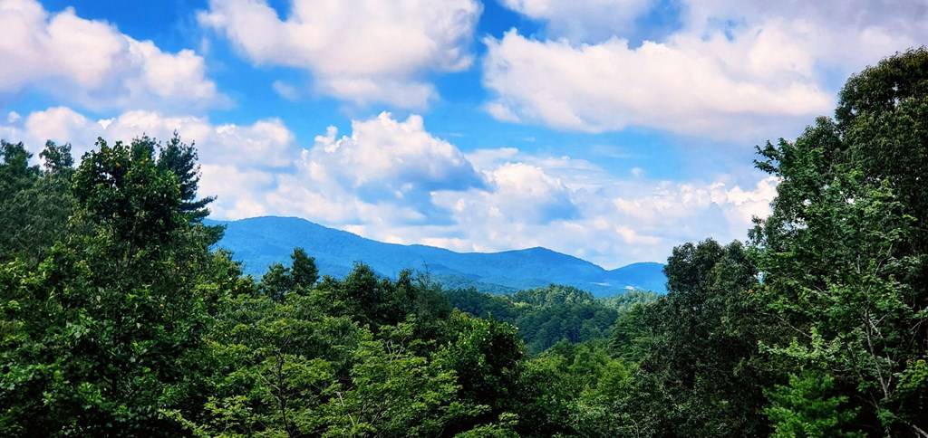 Blue Ridge, GA 30513,880 Little Bushy Head Road