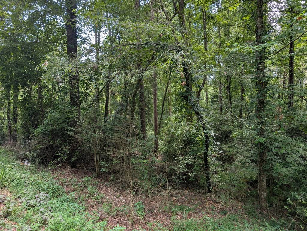 Ellijay, GA 30540,Lot 194 Shenendoa Drive