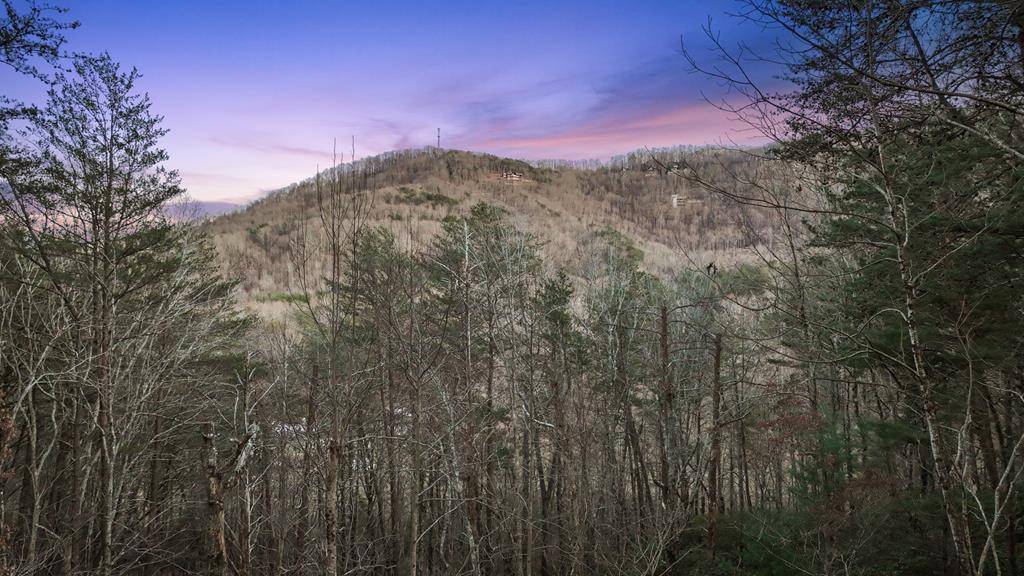Blue Ridge, GA 30513,128 Ridgeveiw Estates Road