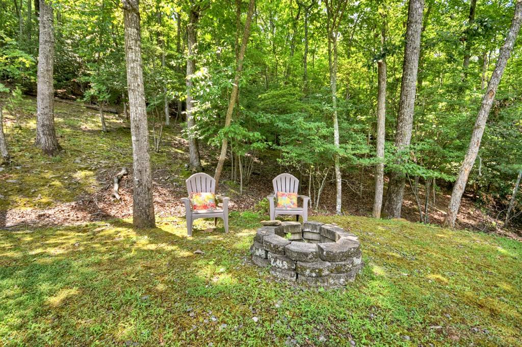 Murphy, NC 28906,380 Bear Trail