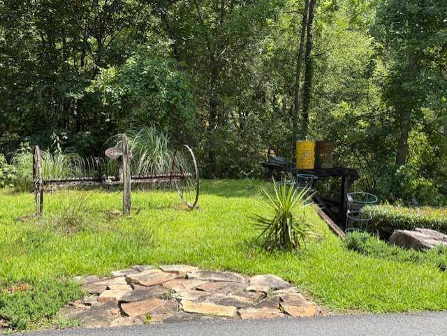 Dahlonega, GA 30533,668 Gold Cove Drive