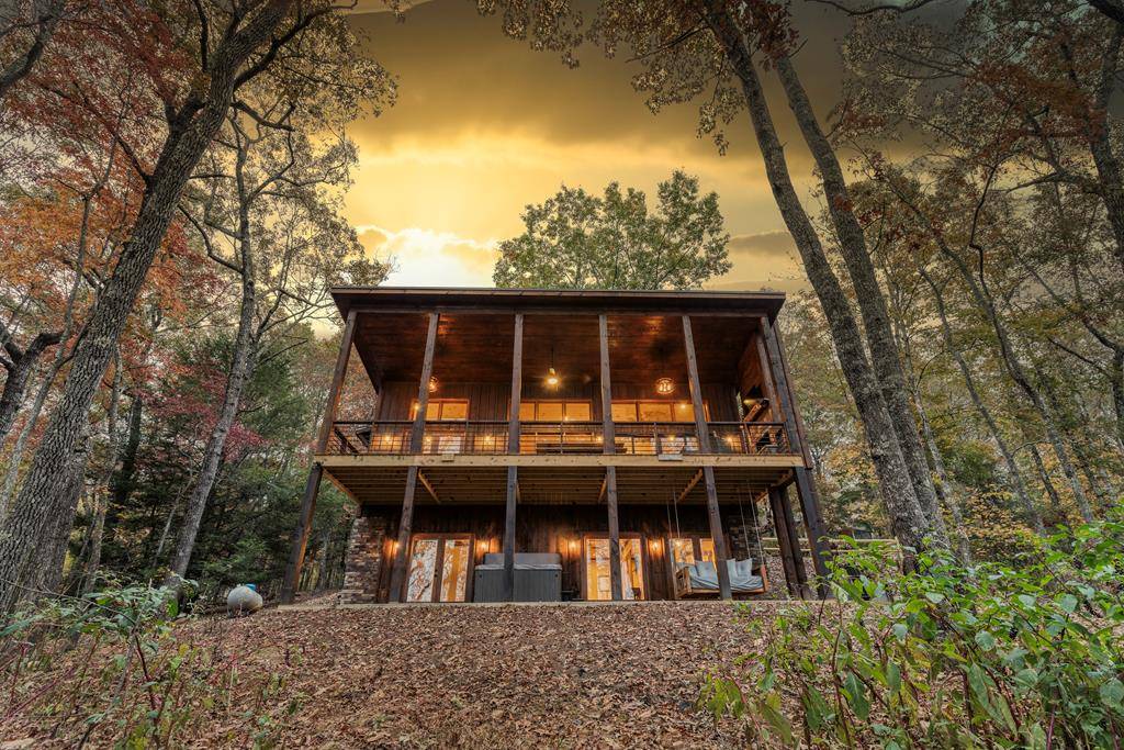 Mineral Bluff, GA 30559,44 Hothouse Spur