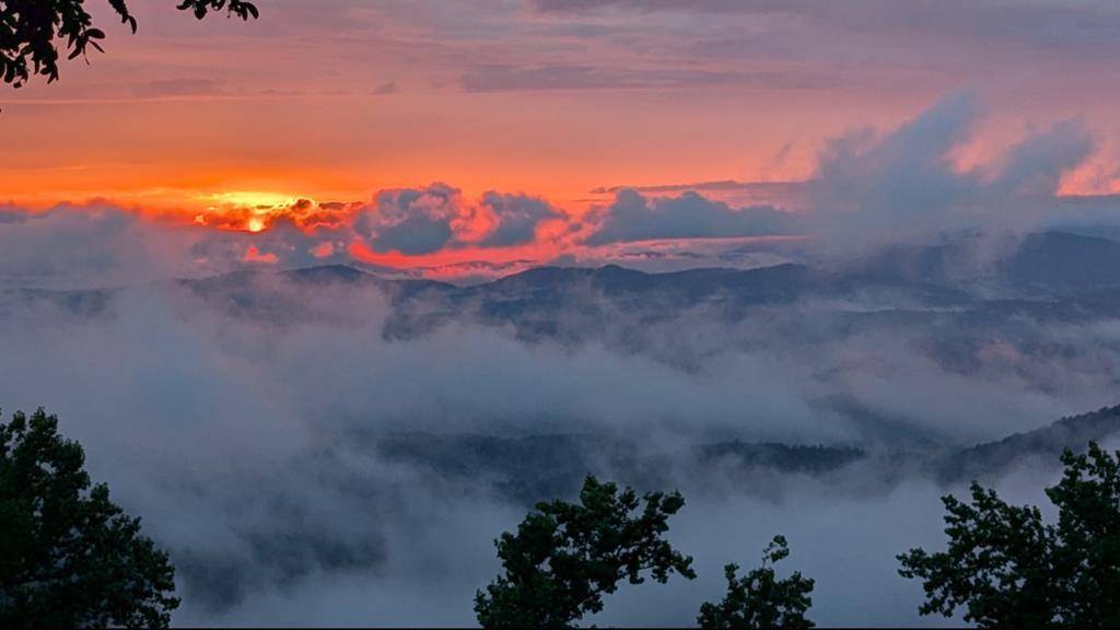 Ellijay, GA 30450,1665 Walnut Ridge