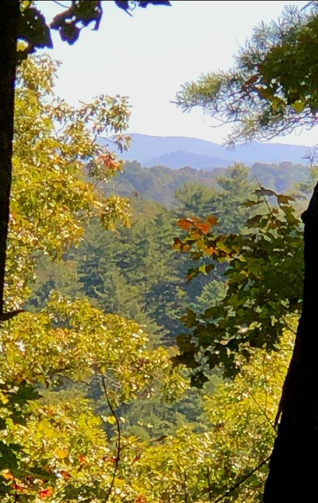 Ellijay, GA 30540,Lot 157 Roaring Forks Lane