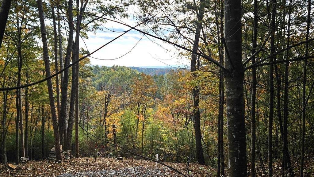 Ellijay, GA 30540,Lot 157 Roaring Forks Lane