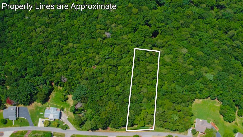 Ellijay, GA 30536,Lot 34 Talona Mountain Road