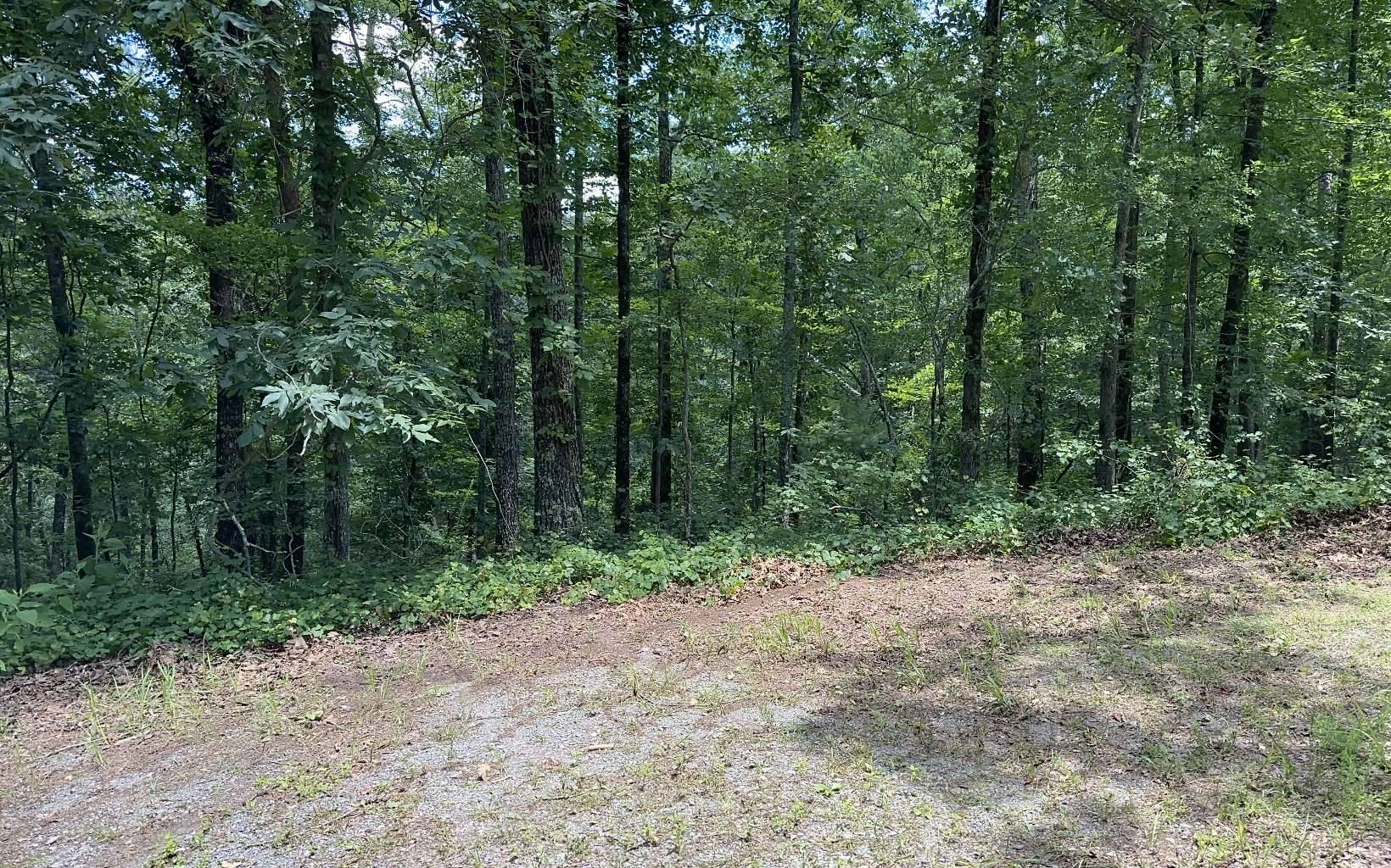 Talking Rock, GA 30175,LT 1719 Rebekah Ridge Road