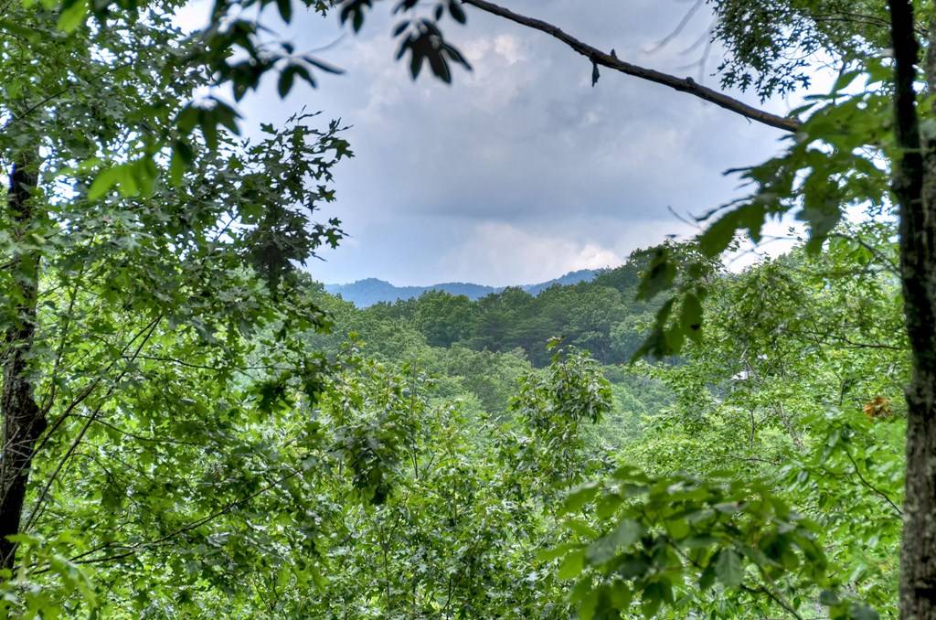 Blue Ridge, GA 30513,156 Dupont Drive