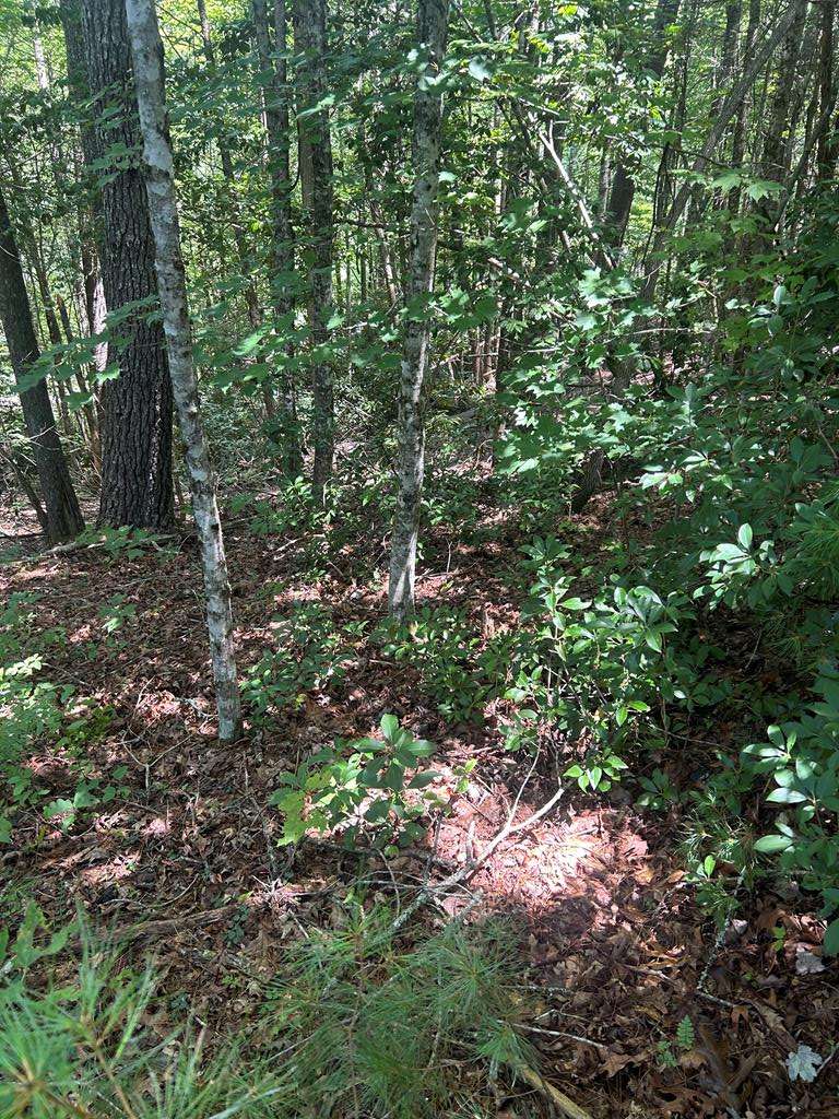 Murphy, NC 28906,0 Rj Mountain View Drive