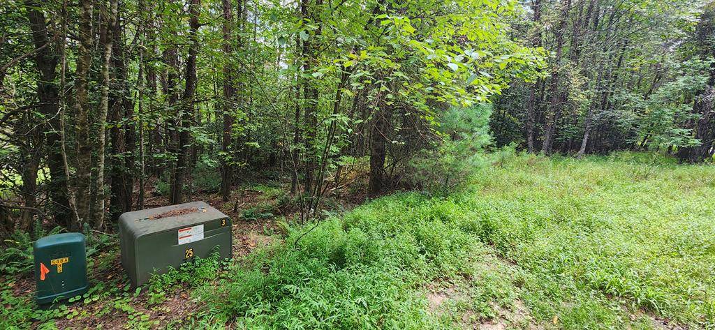 Mineral Bluff, GA 30559,Lot 45 Old Mill Pond Road