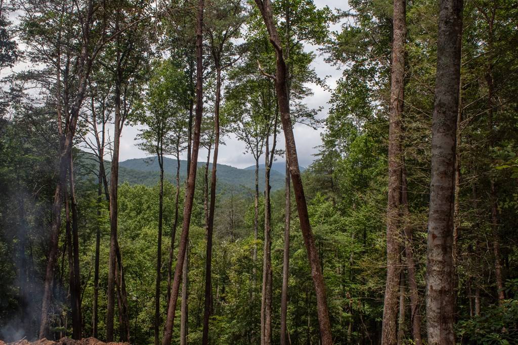 Blue Ridge, GA 30513,Lot 2 Clay's Way