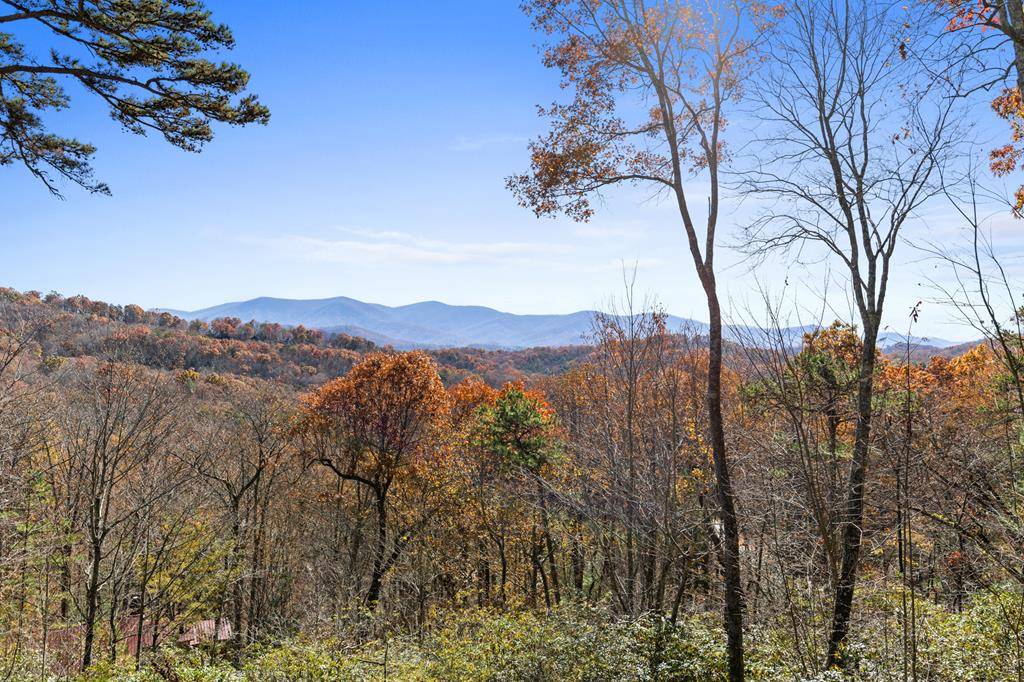 Cherry Log, GA 30522,848 Maggie Chapman Road