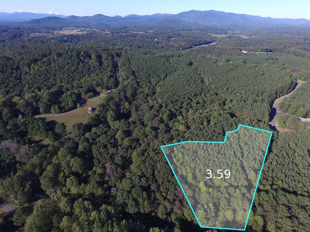 Ellijay, GA 30536,0 Oval Leaf Lane