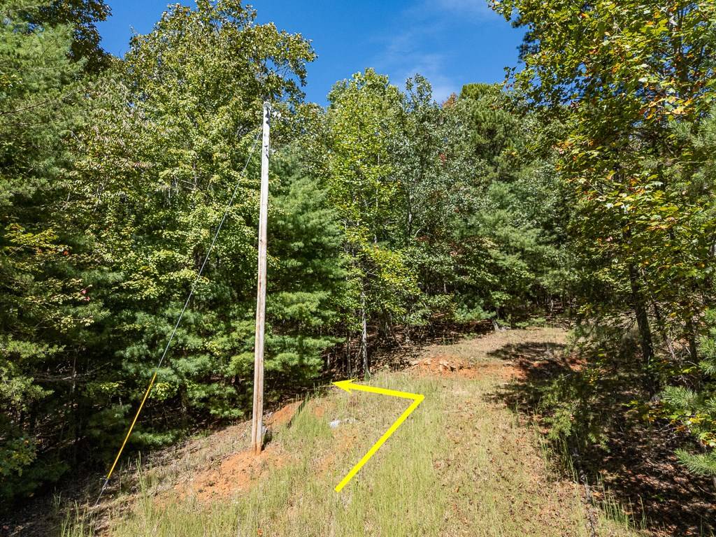 Murphy, NC 28906,0 Wolf Print Ridge