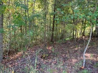 Ellijay, GA 30540,Lot 25 Birchwood Drive