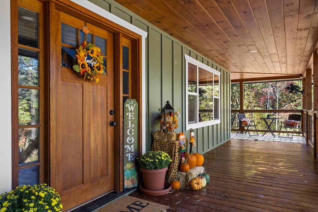 Mineral Bluff, GA 30559,35 Indian Trace