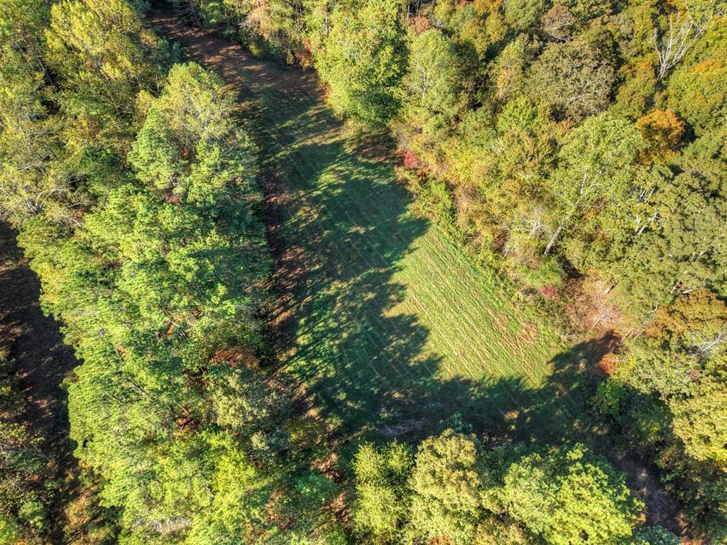 Ranger, GA 30734,523 Long Branch Road