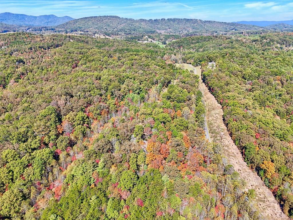 Murphy, NC 28906,180 Gregory Drive