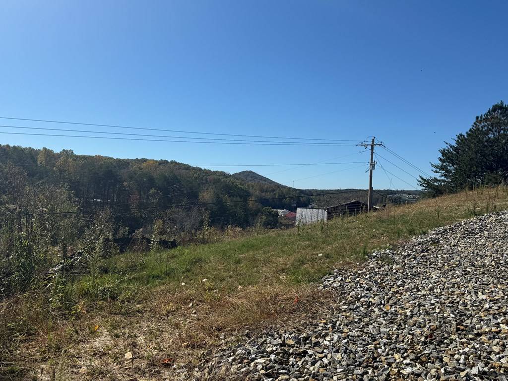 Blue Ridge, GA 30513,Lot 11 Lindsey Lane