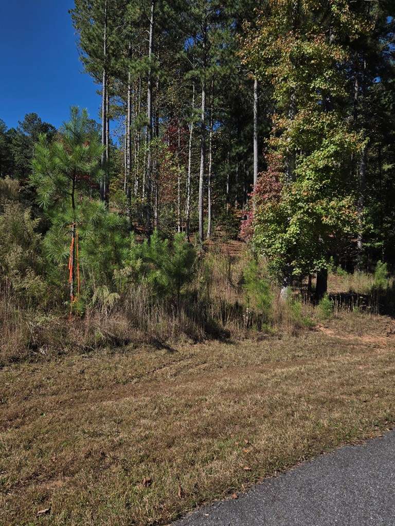 Blairsville, GA 30512,Lot 132 Sandy Lake Lane