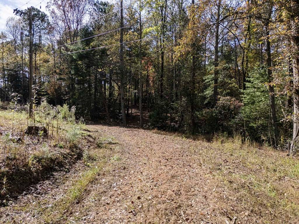 Blairsville, GA 30512,L21 & 22 Eastridge Court