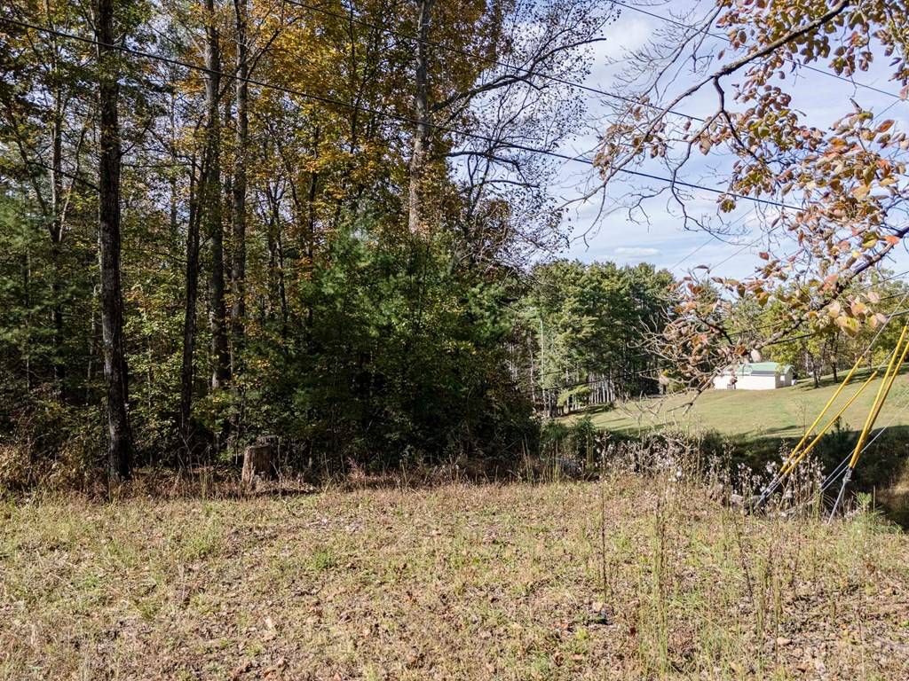 Blairsville, GA 30512,L21 & 22 Eastridge Court