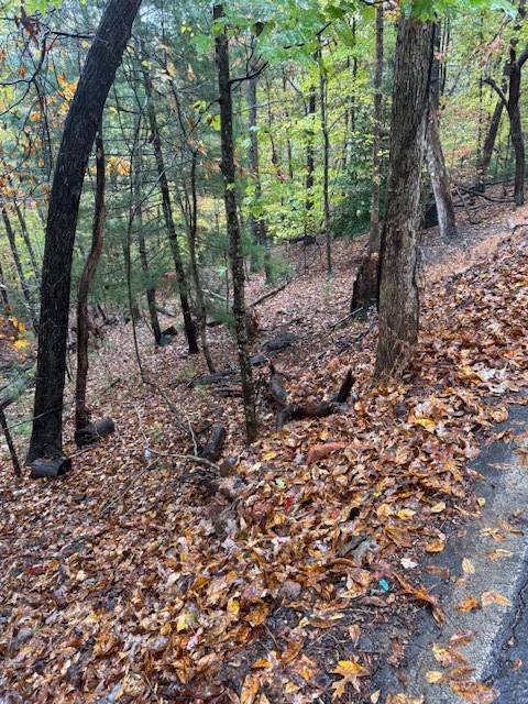 Ellijay, GA 30540,LT 264 Zenith Trail