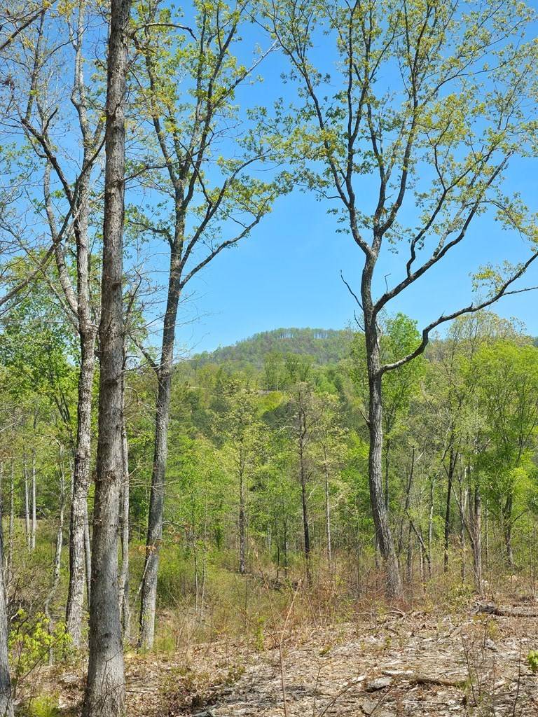 Talking Rock, GA 30175,Lot 209 Oak Park Drive
