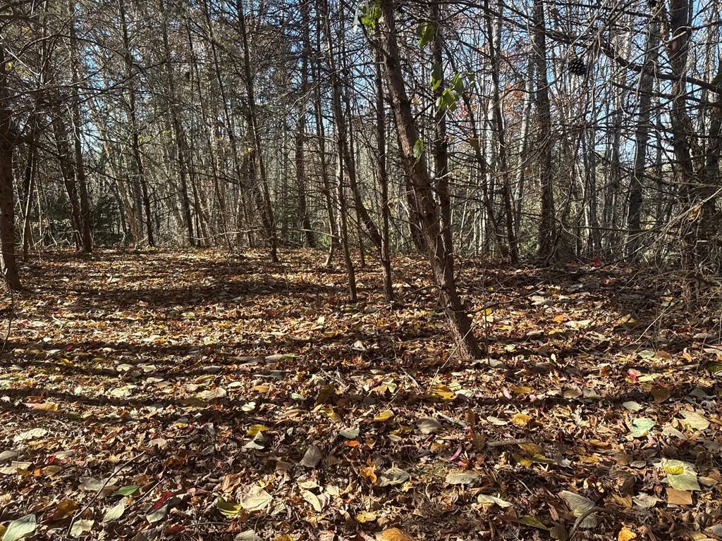 Murphy, NC 28906,0 Mcguire Street