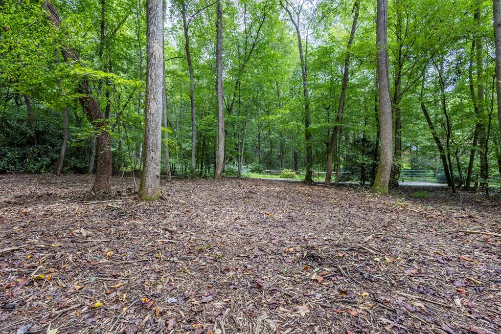 Andrews, NC 28901,1034 Chestnut Flats Road