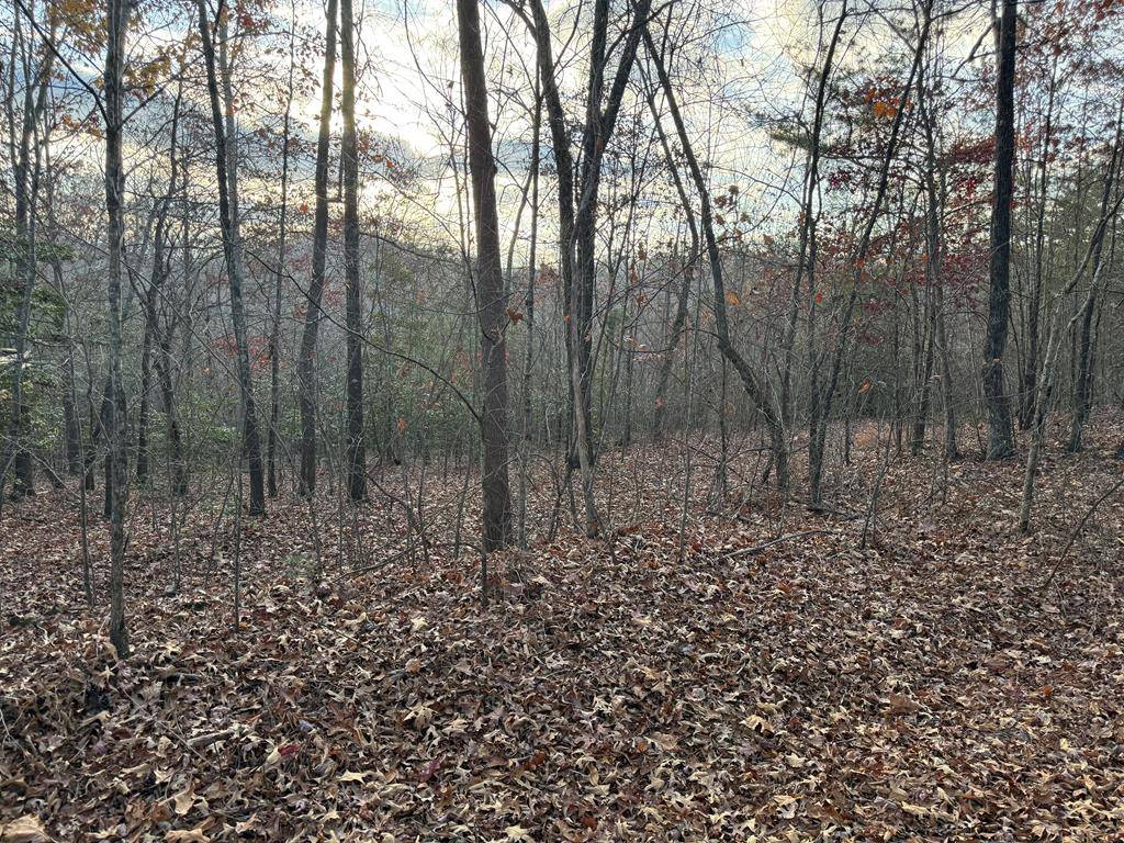 Mineral Bluff, GA 30559,28/32 Stuart Ridge Road