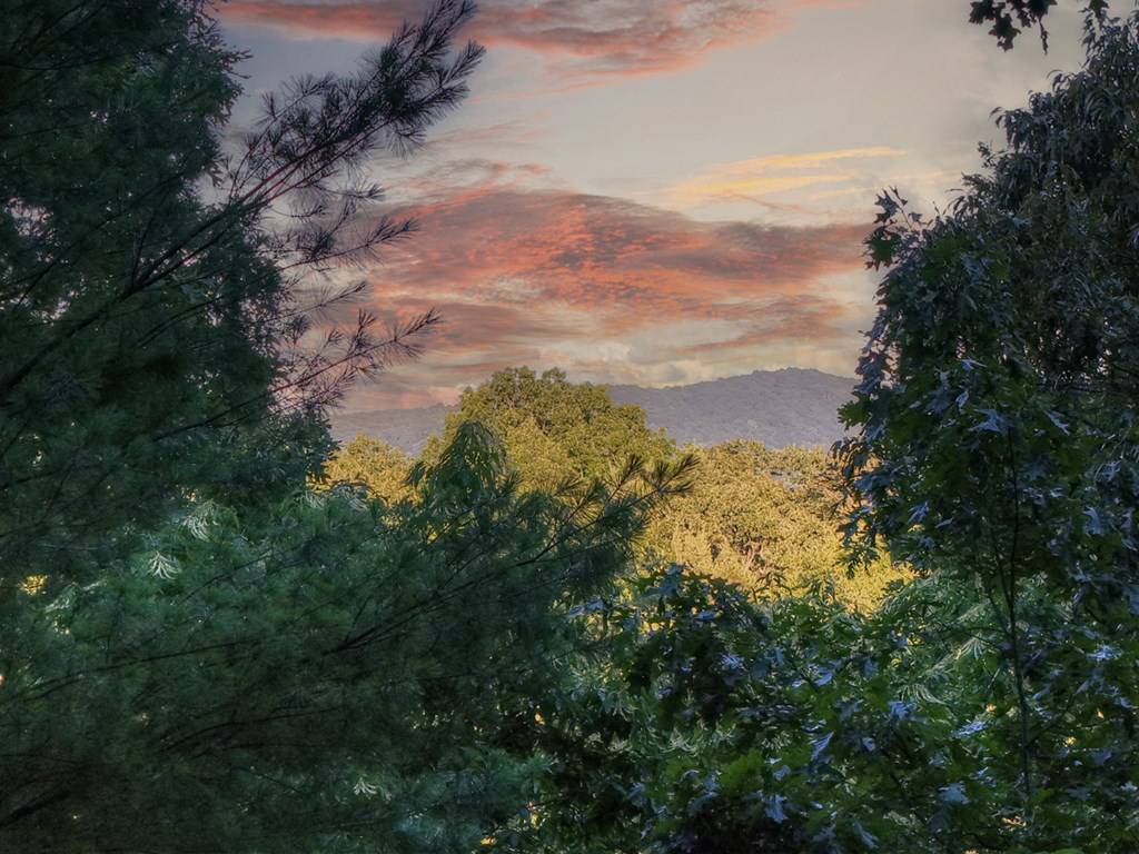 Cherry Log, GA 30522,97 Doyle Carder Parkway