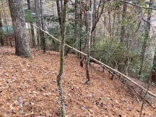 Ellijay, GA 30540,Lot 1375 Lyric Lane