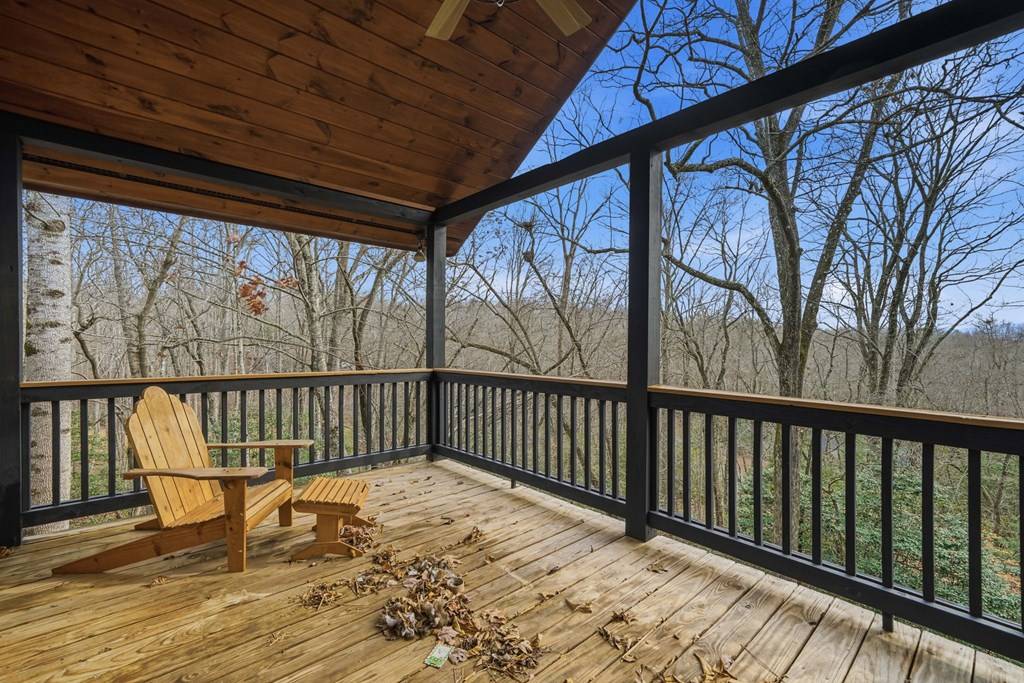 Mineral Bluff, GA 30559,648 Stuart Mountain Road