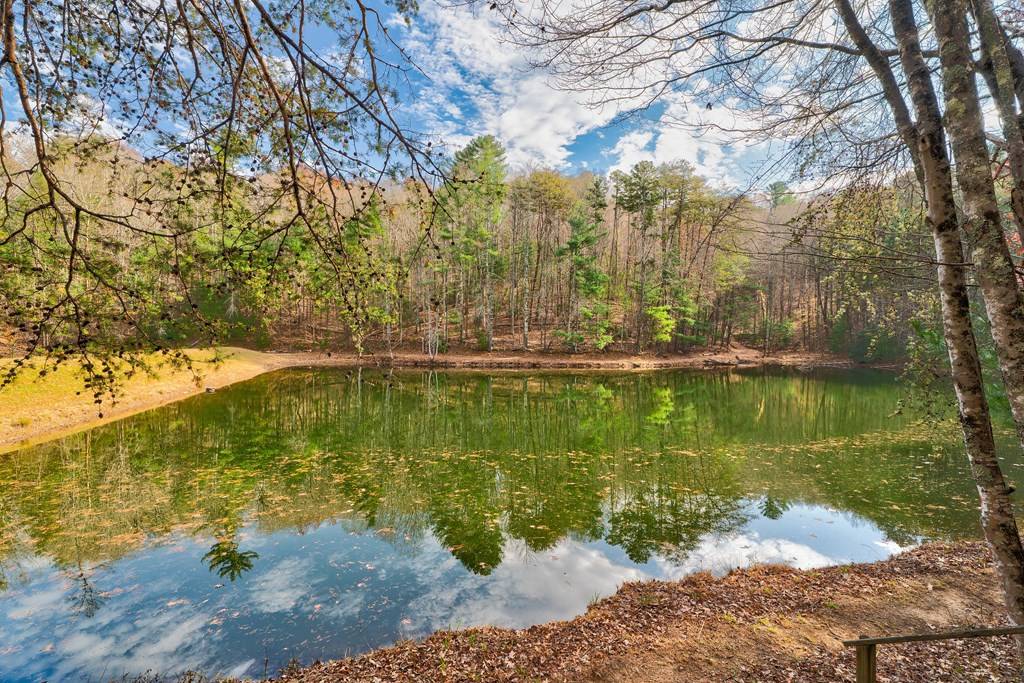 Ellijay, GA 30536,96 Clubhouse Court