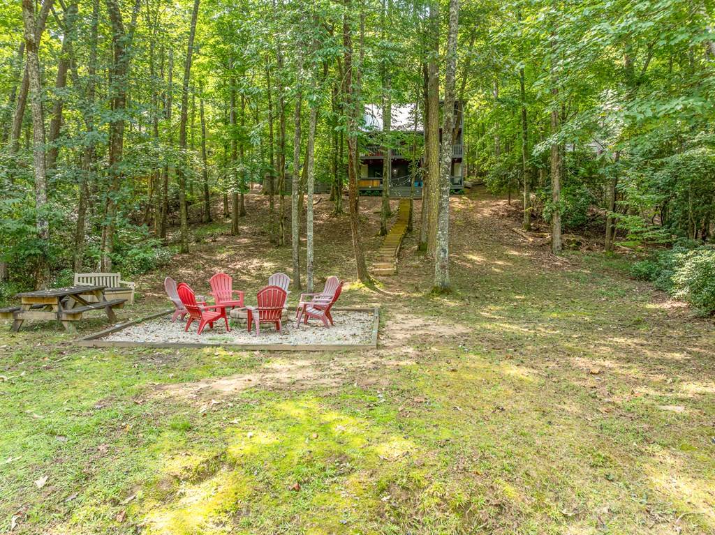 Ellijay, GA 30540,93 Amy Lane