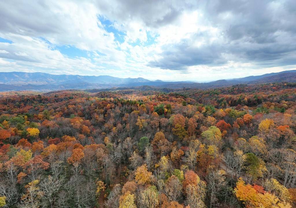 Andrews, NC 28901,135.49ac Webb Creek Road