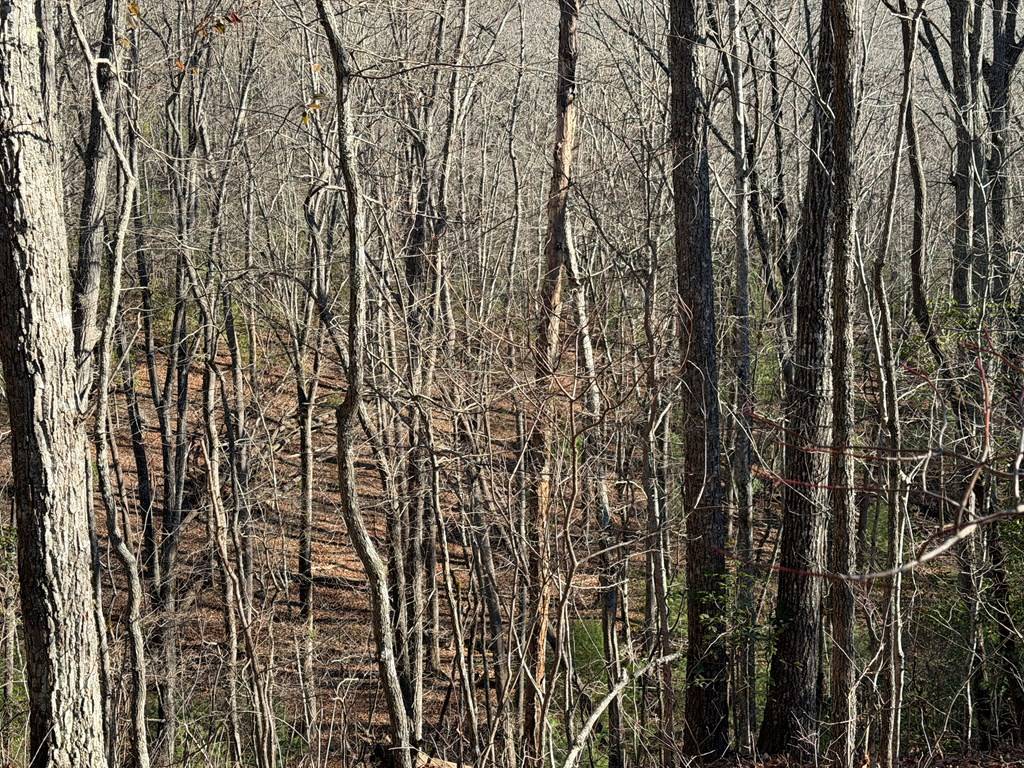 Hayesville, NC 28904,00 Mission Ridge