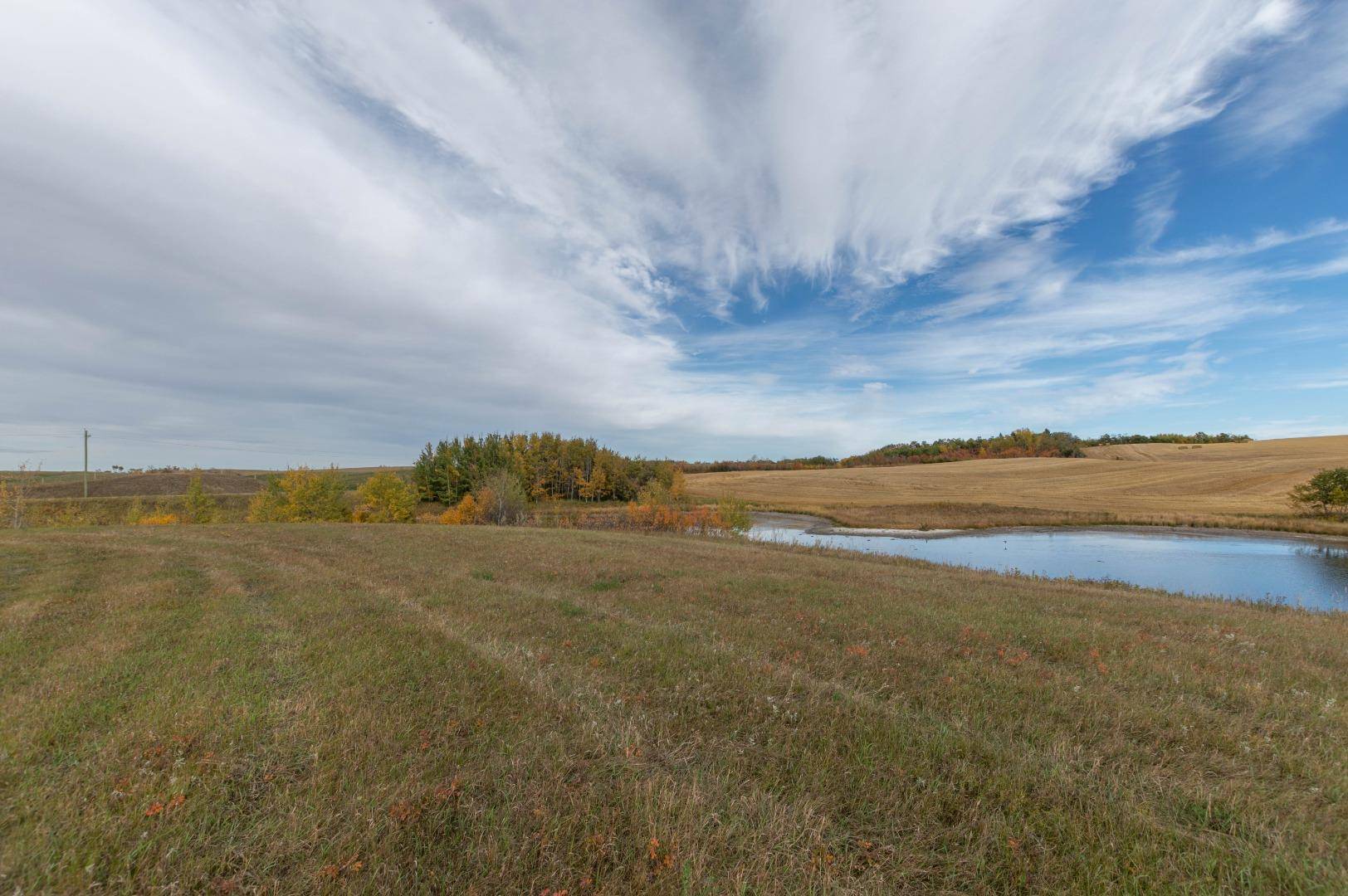 Rural Stettler No. 6, County Of, AB T0C 2L0,On TWP 41-2