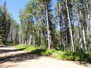 Rural Grande Prairie No. 1, County Of, AB T0H 1J0,Lot #7 Wapiti River SW-21-69-10-W6