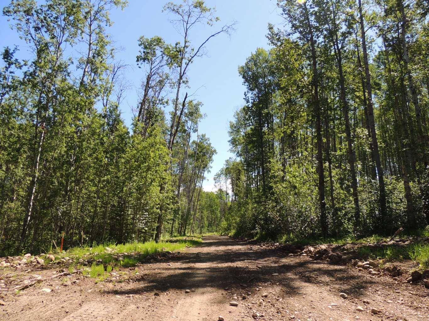 Rural Grande Prairie No. 1, County Of, AB T0H 1J0,Wapiti River SW-21-69-10-W6 #Lot 25