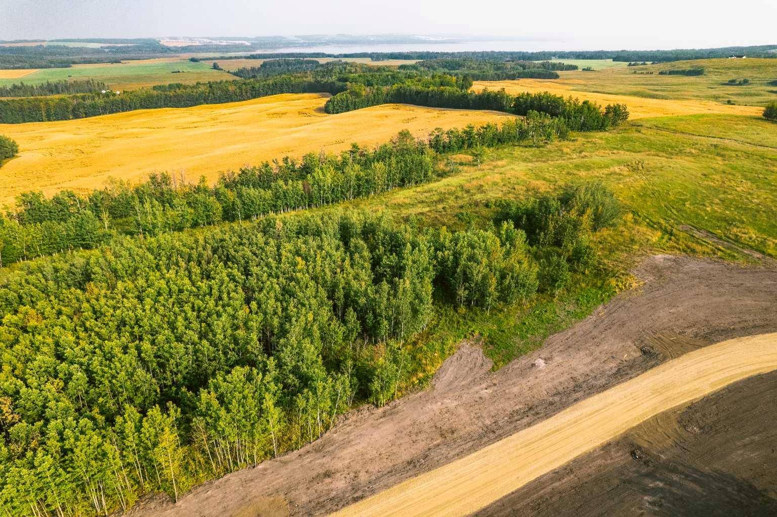 Rural Ponoka County, AB T0C 2J0,NW 1/4 Sec 16-42-1-5; Lot 7